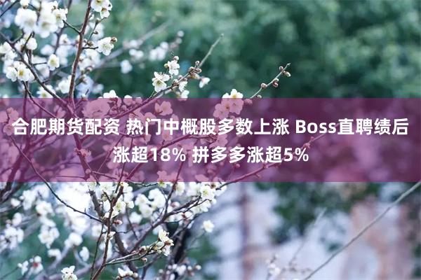 合肥期货配资 热门中概股多数上涨 Boss直聘绩后涨超18% 拼多多涨超5%