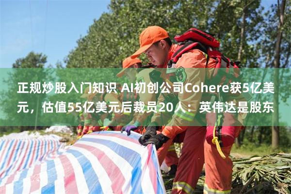 正规炒股入门知识 AI初创公司Cohere获5亿美元，估值55亿美元后裁员20人：英伟达是股东