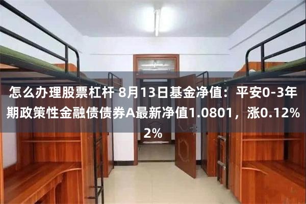 怎么办理股票杠杆 8月13日基金净值：平安0-3年期政策性金融债债券A最新净值1.0801，涨0.12%