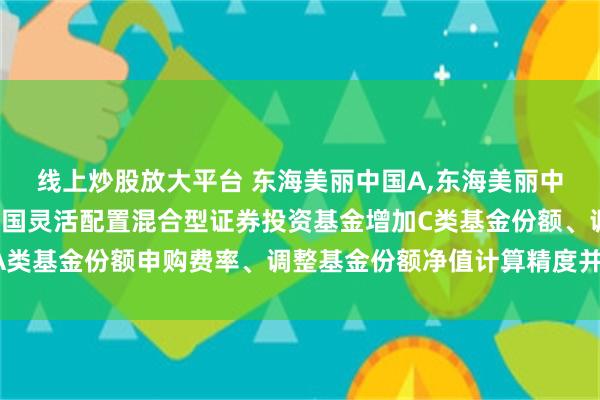 线上炒股放大平台 东海美丽中国A,东海美丽中国C: 关于东海美丽中国灵活配置混合型证券投资基金增加C类基金份额、调低A类基金份额申购费率、调整基金份额净值计算精度并修改基金合同等法律文件的公告