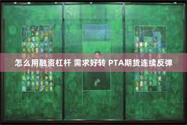 怎么用融资杠杆 需求好转 PTA期货连续反弹