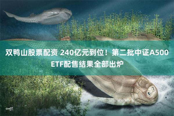 双鸭山股票配资 240亿元到位！第二批中证A500ETF配售结果全部出炉