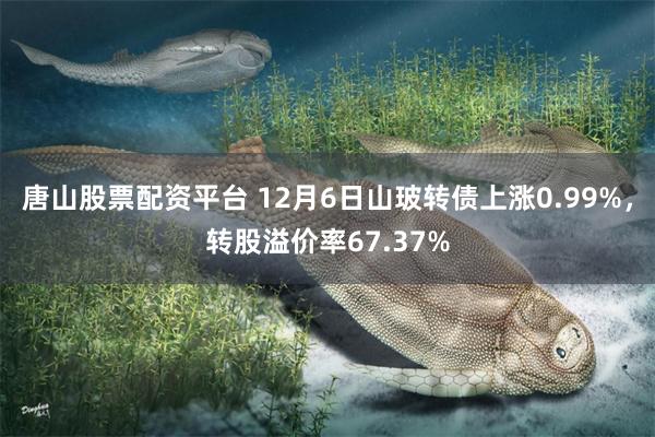 唐山股票配资平台 12月6日山玻转债上涨0.99%，转股溢价率67.37%