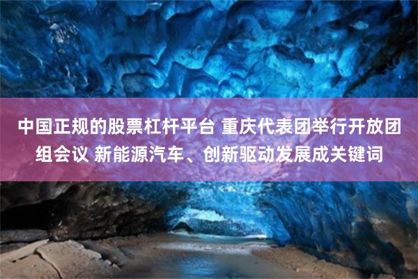 中国正规的股票杠杆平台 重庆代表团举行开放团组会议 新能源汽车、创新驱动发展成关键词